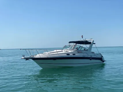 Mango Mietboot - 4