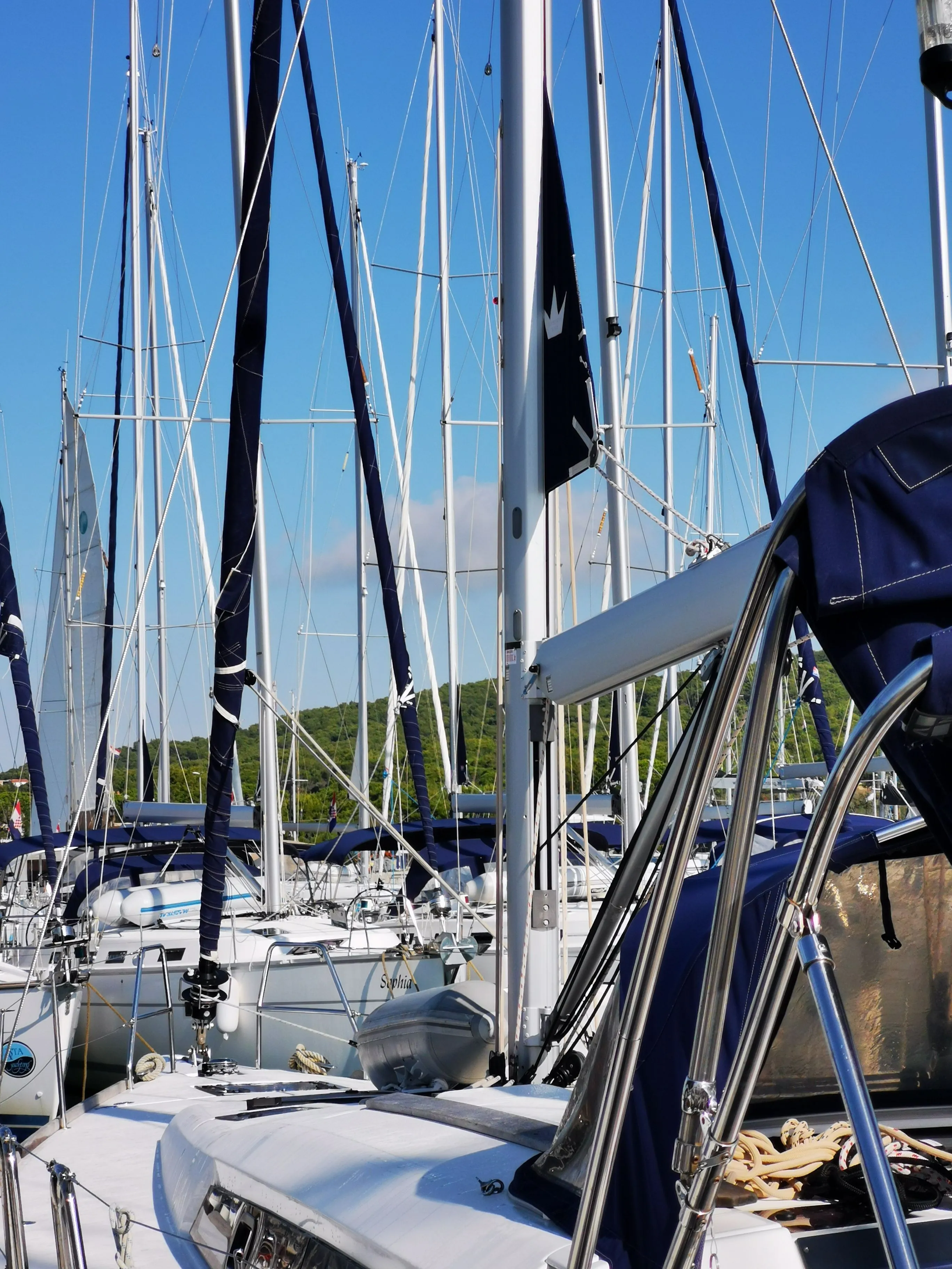 Cougar Charterboot - 5