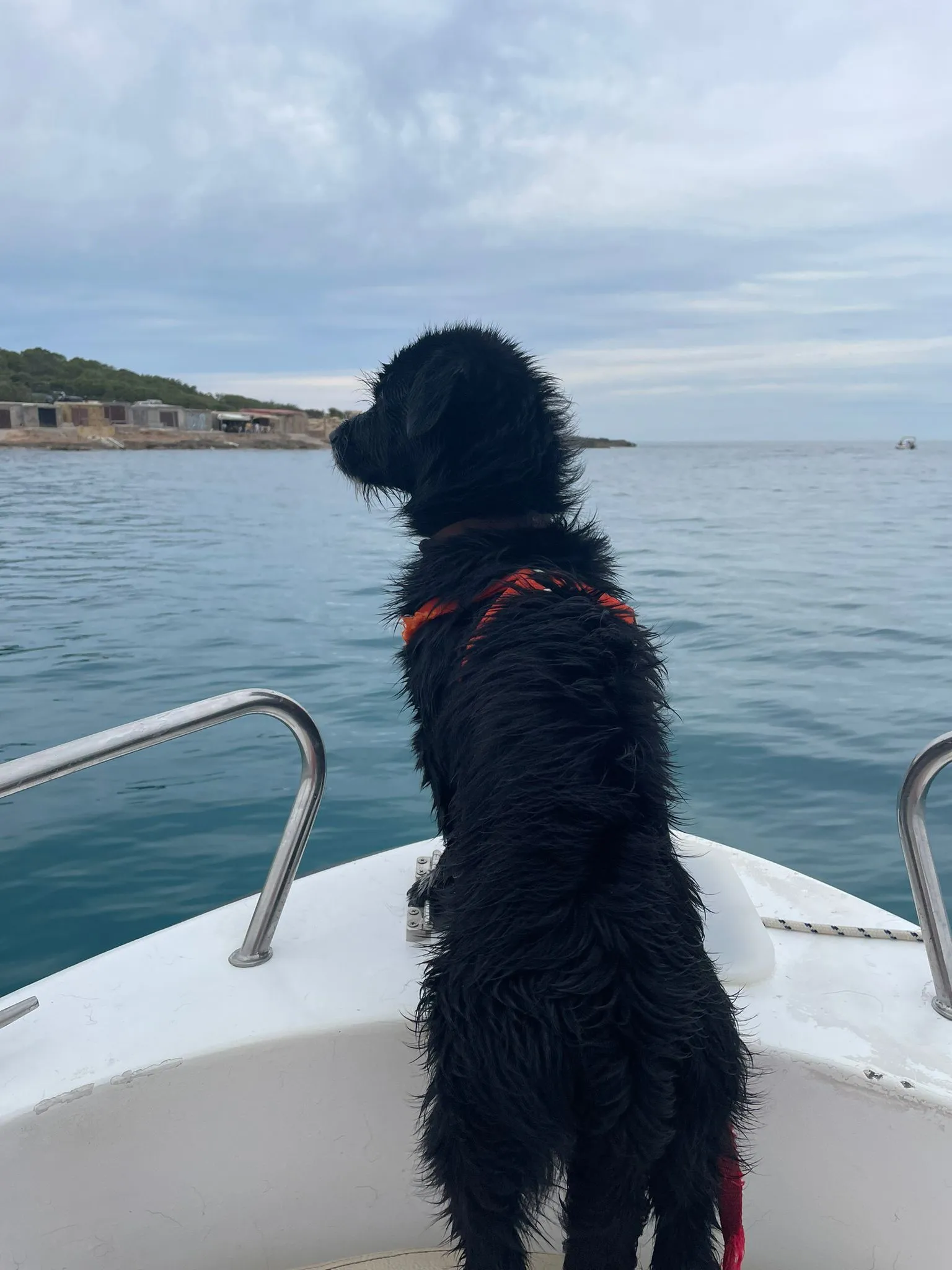 Rio Charter Boat
