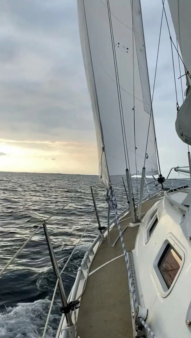 Чартер Metaphor - 5