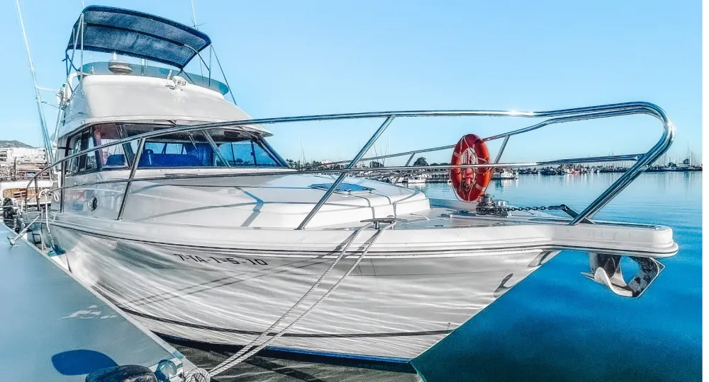 Raddy Charterboot - 3