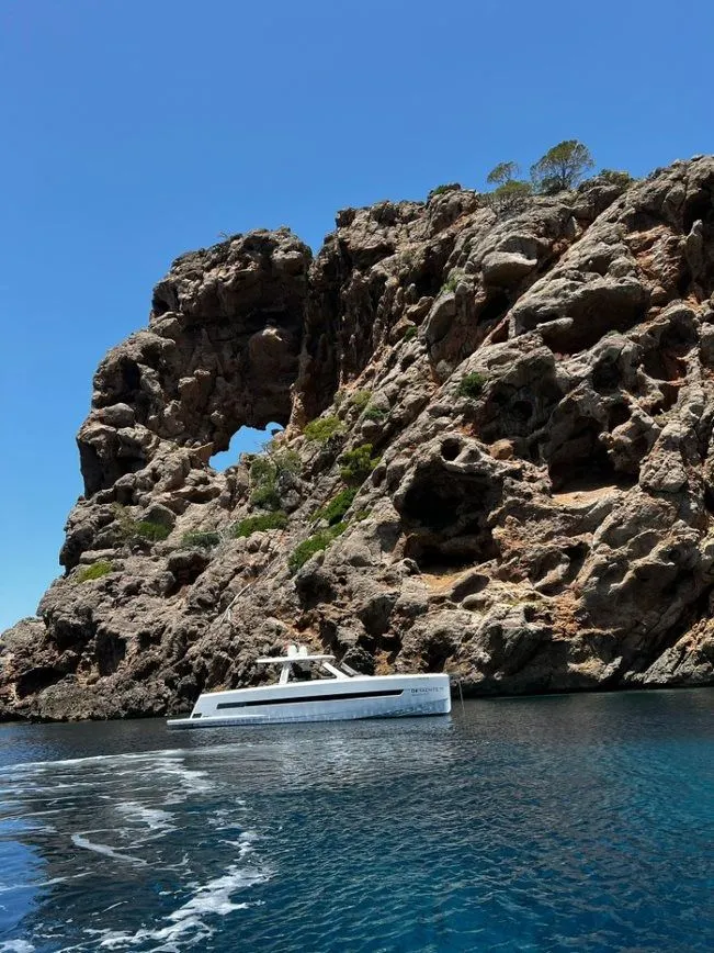 Чартер Petichet - 4