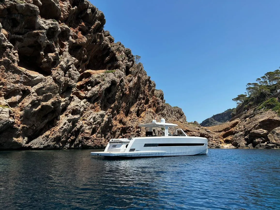 Чартер Petichet - 5