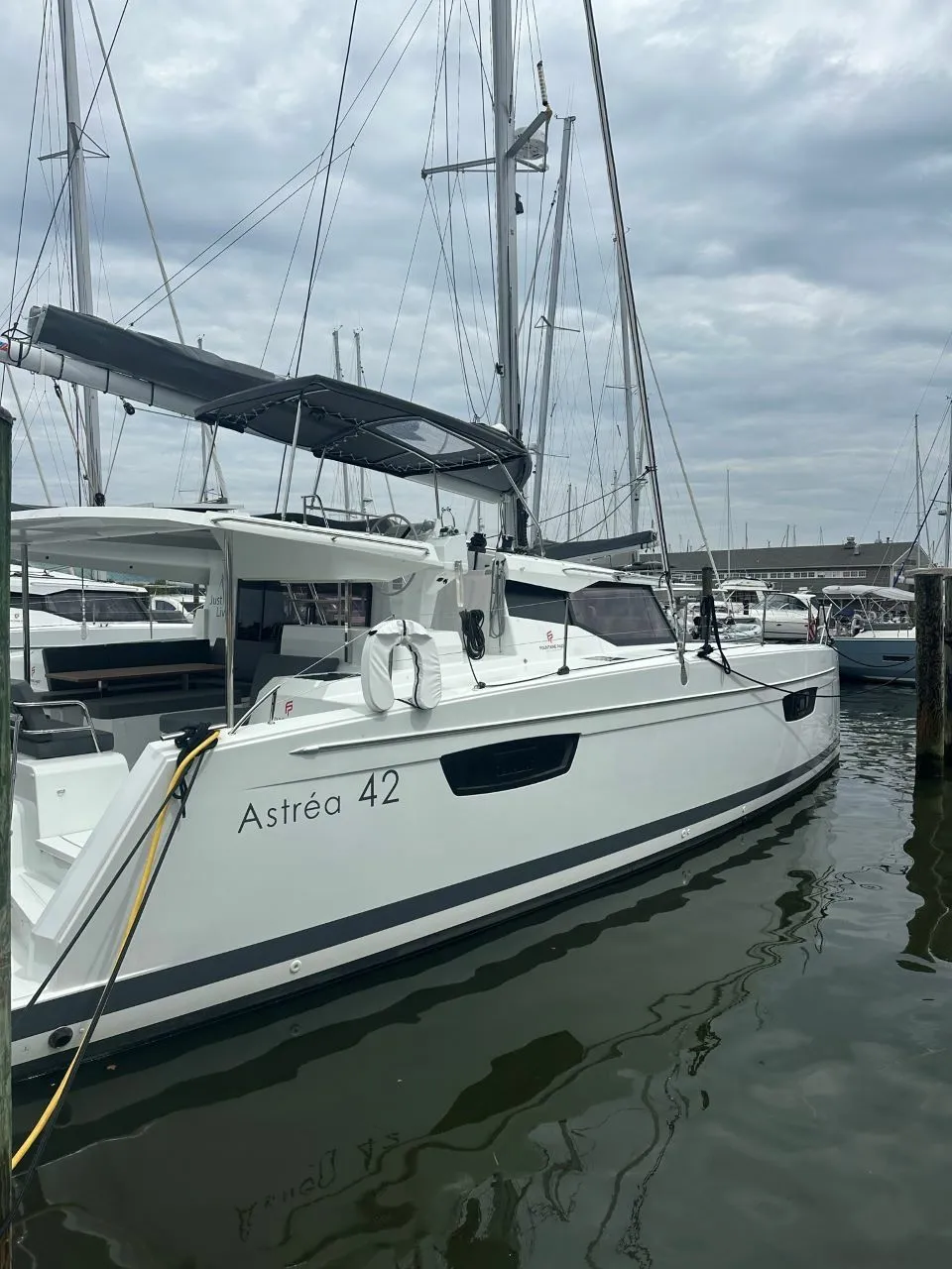 Just Live Charterboot - 3