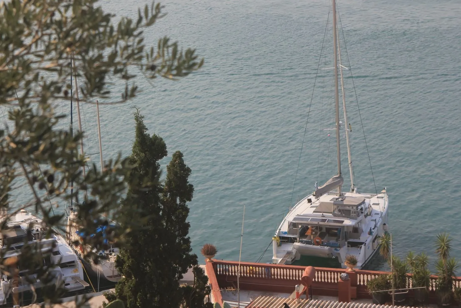 Wild Baleine Kiralık Teknesi - 3