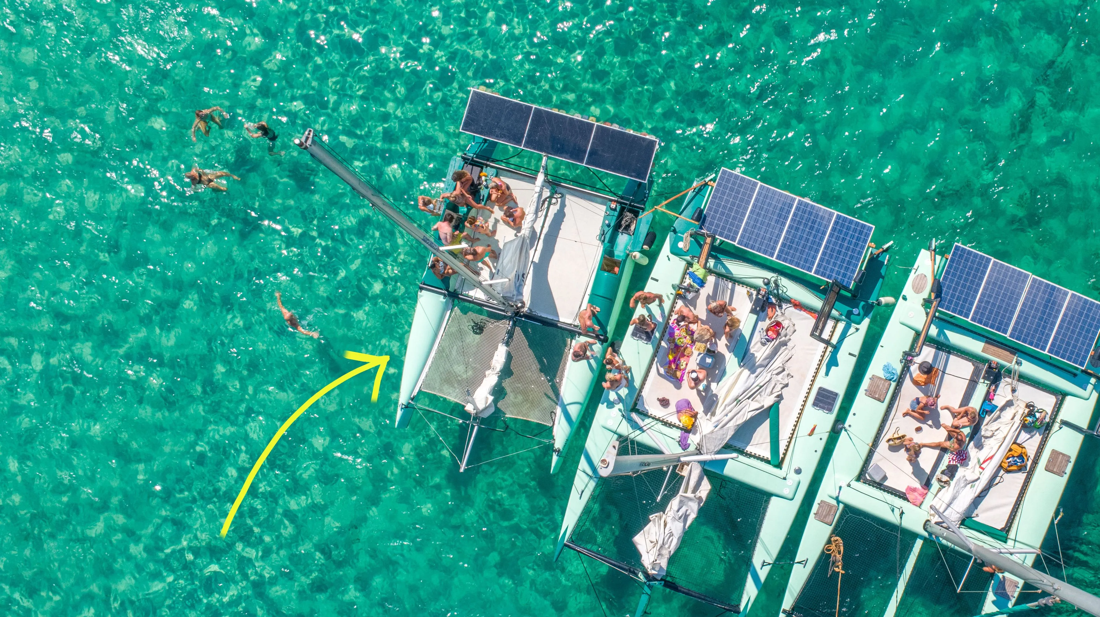 Ninja Turtle Kiralık Teknesi - 4