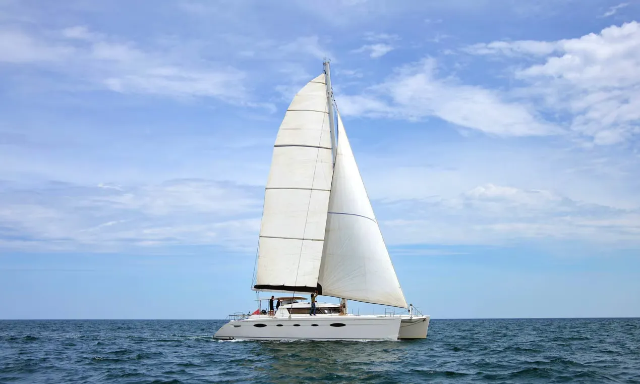 Whale Charter Boat