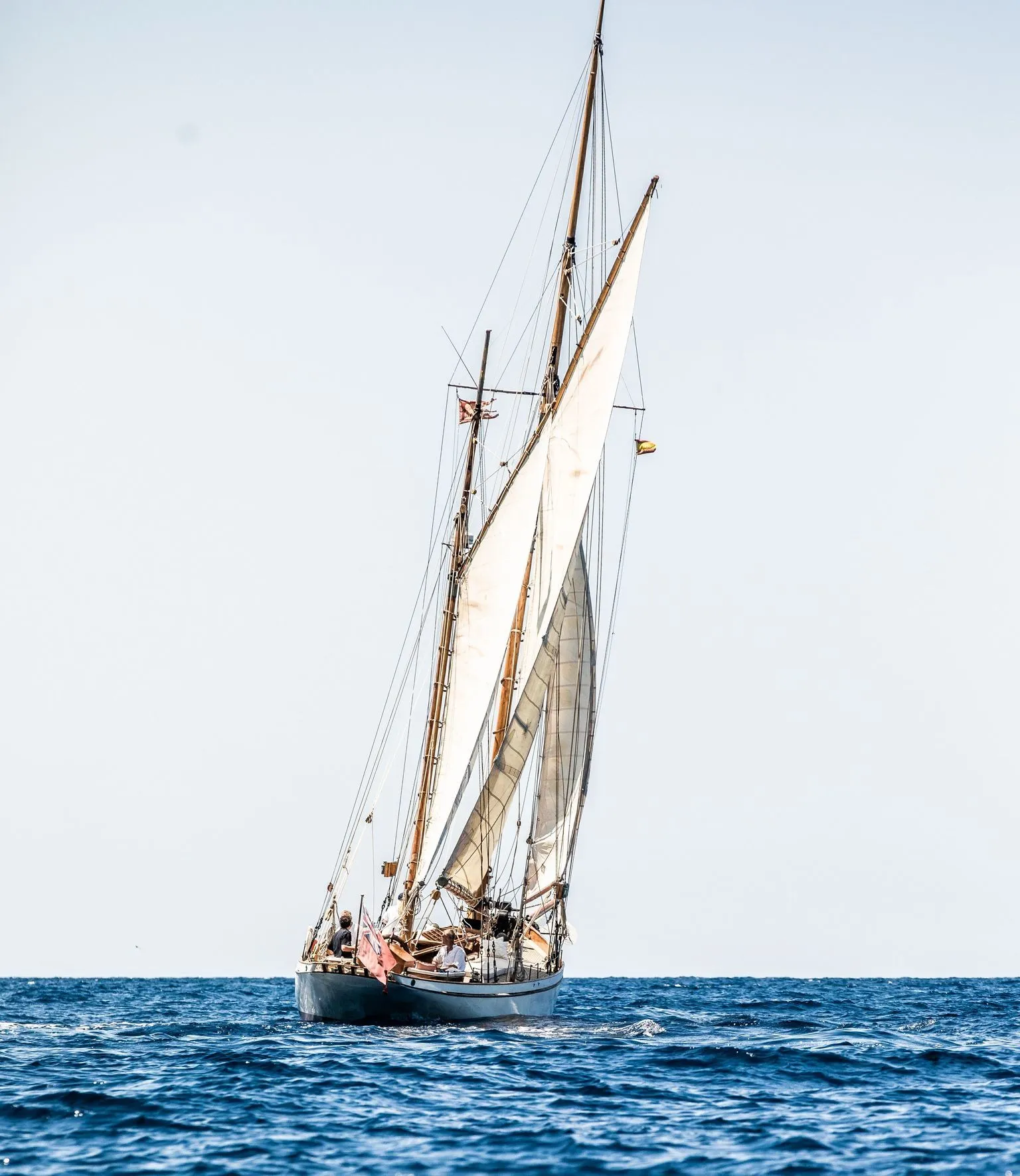 Owl 1909 Charter Boat