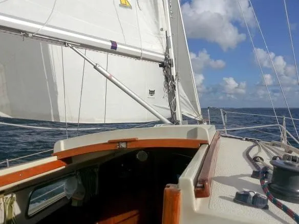 Basia Charter Boat