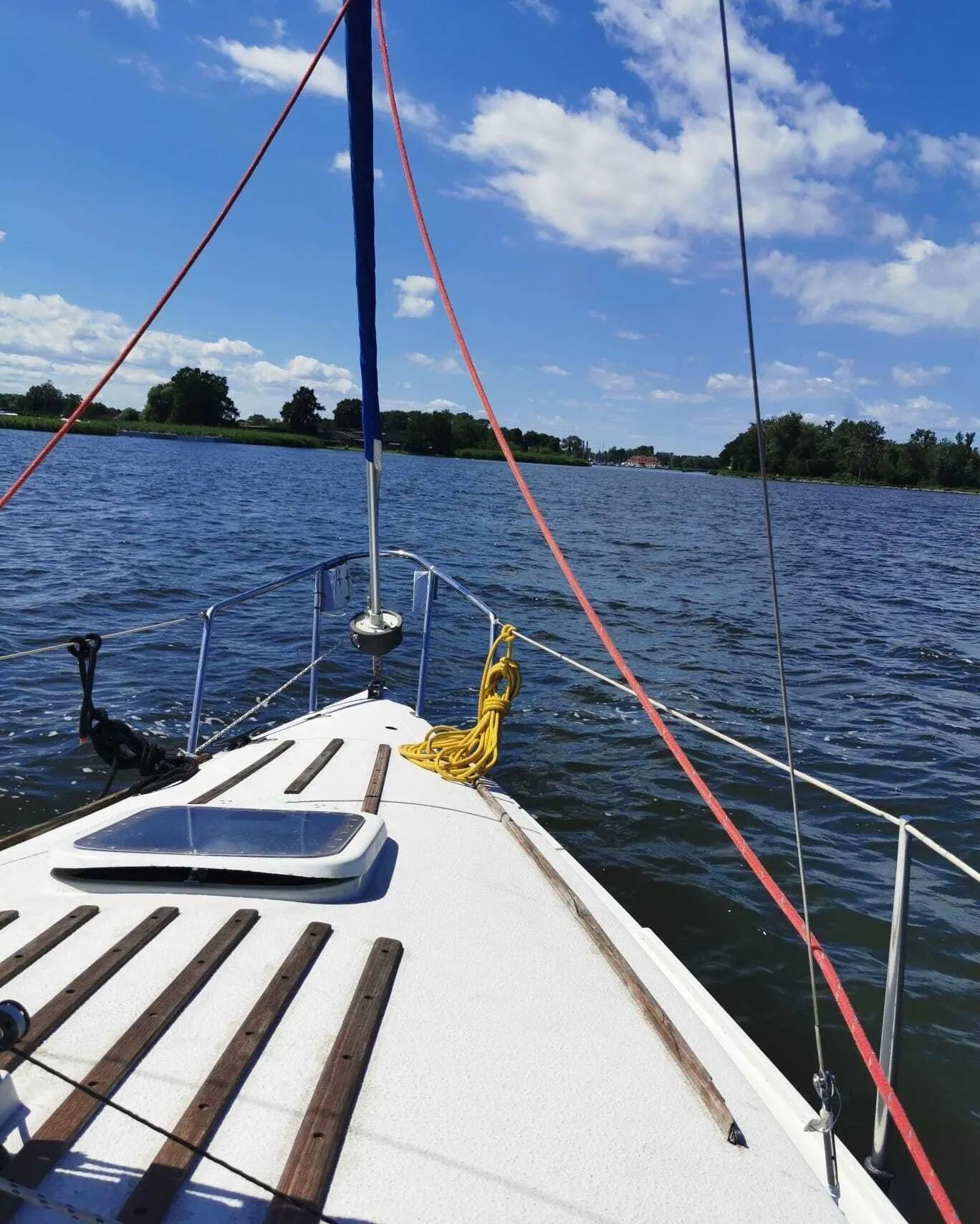 Yellow Charter Boat
