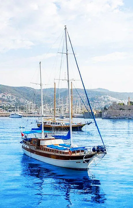 Чартер Tutta - 3