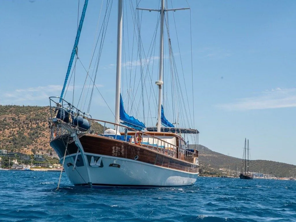 Чартер Tutta - 5