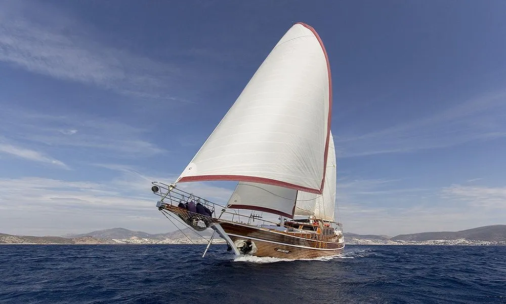 Dreamland Charter Boat - 4