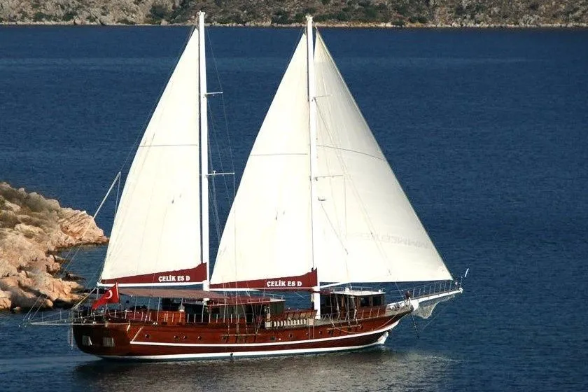 Чартер Celik Es D - 3