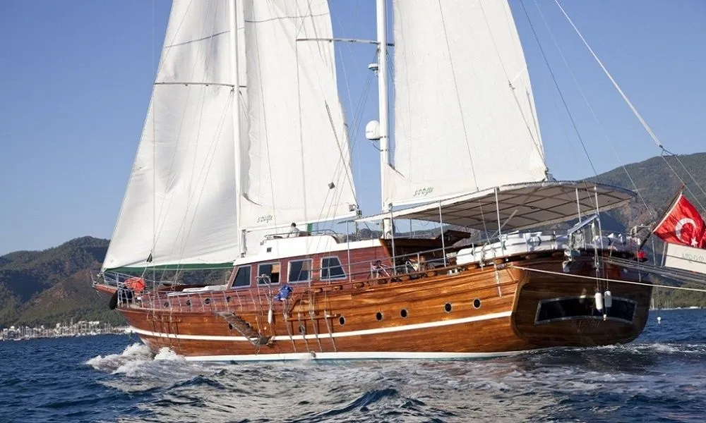 Чартер S.Dogu - 3