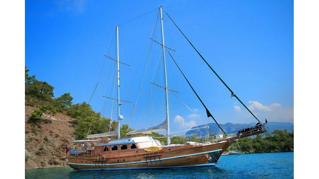 Чартер S.Dogu - 5