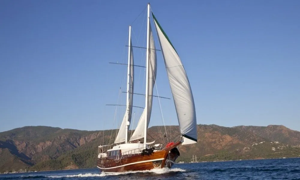 Чартер S.Dogu - 4