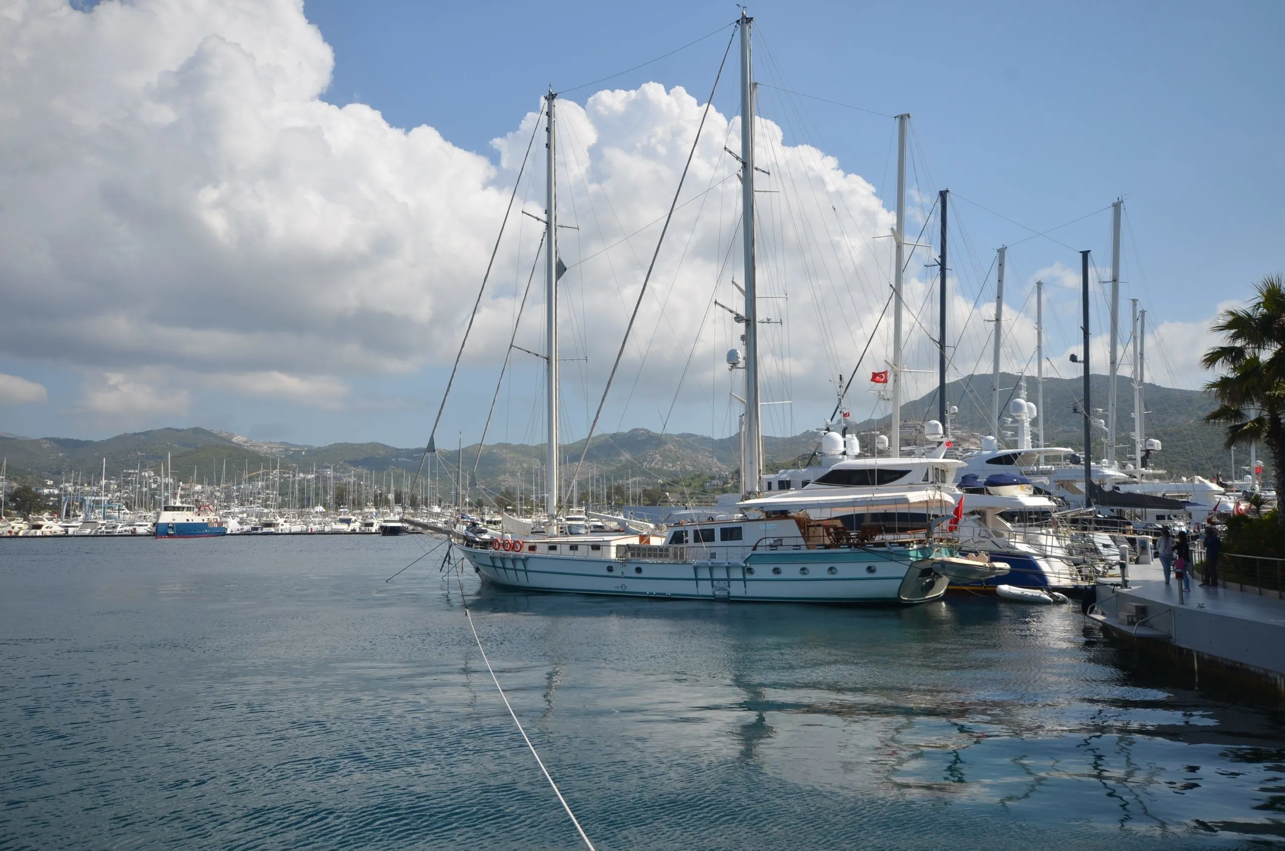 Чартер Asn - 3