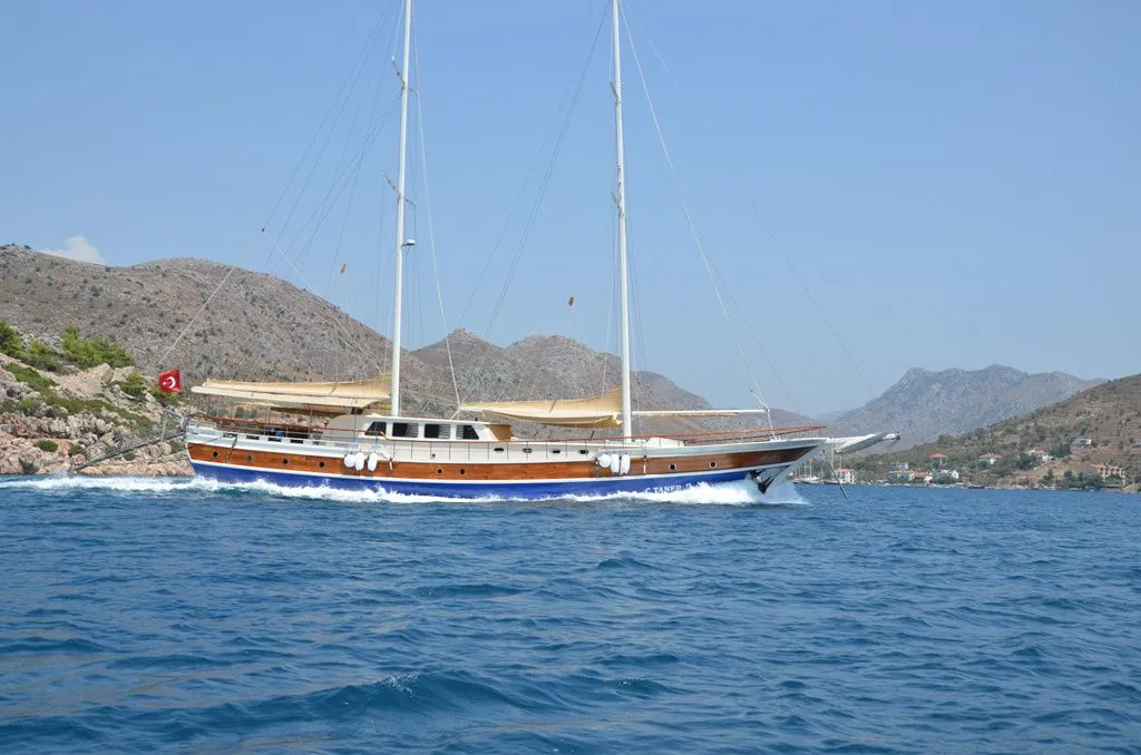 Чартер C. Taner 2 - 3