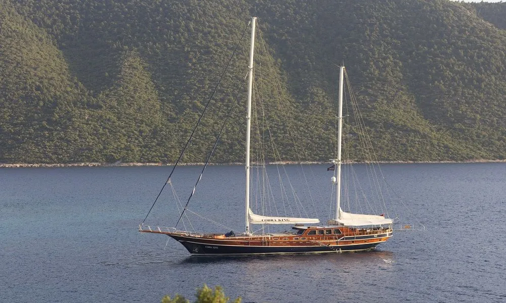 Чартер Cobra King - 3