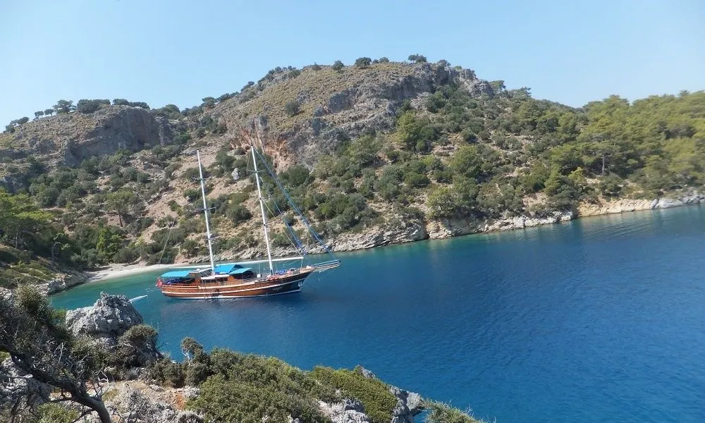 Чартер Semercioglu 4 - 5