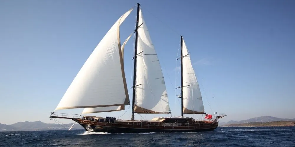 Perfomance Fee Charter Boat - 4