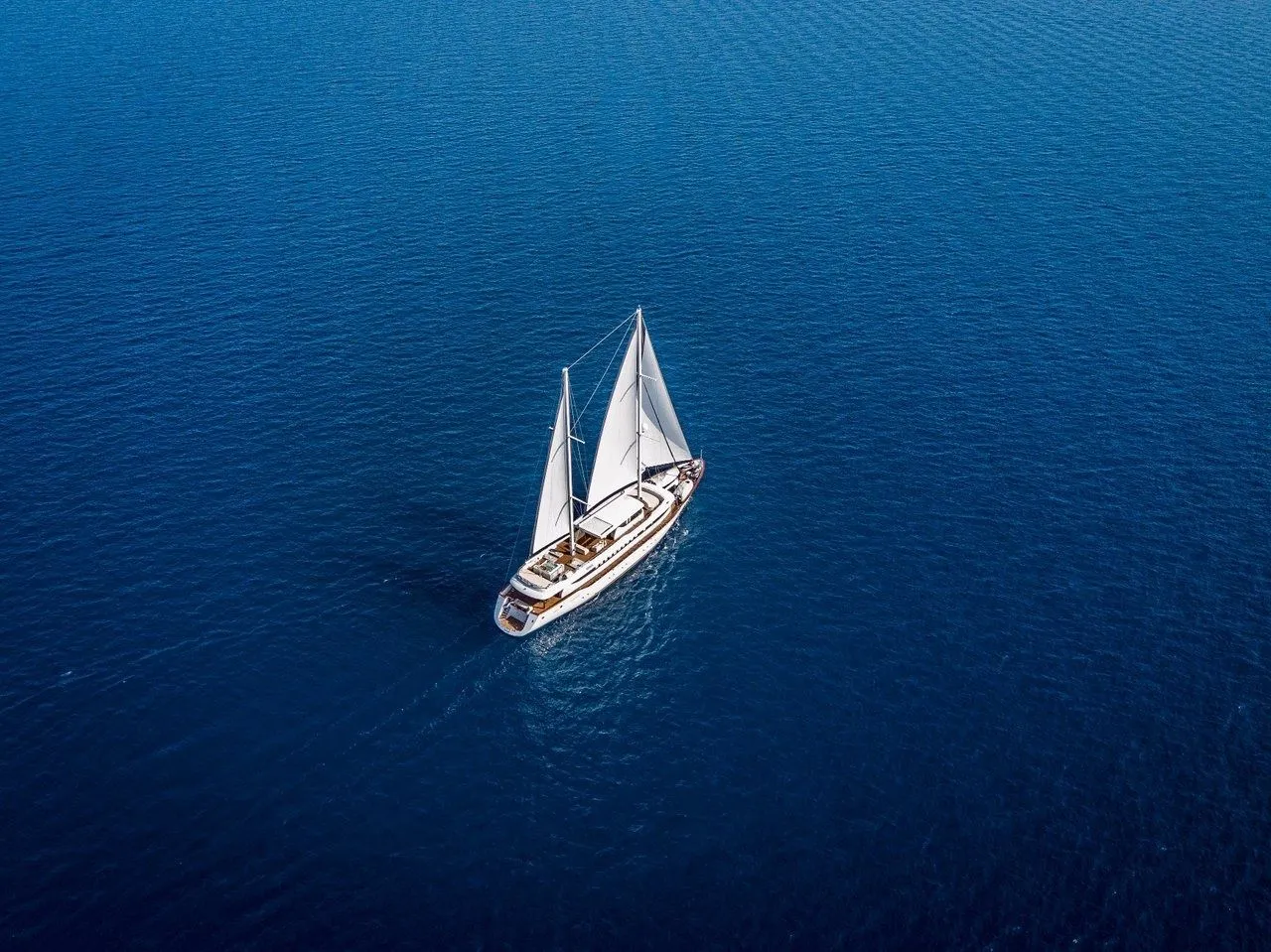 Чартер Omnia - 5