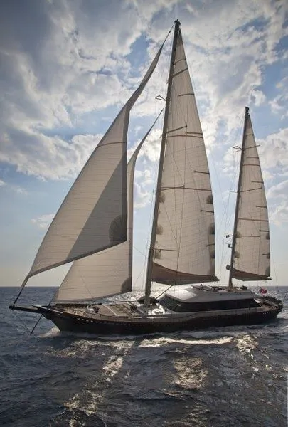 Cobra Infinity Charter Boat - 3
