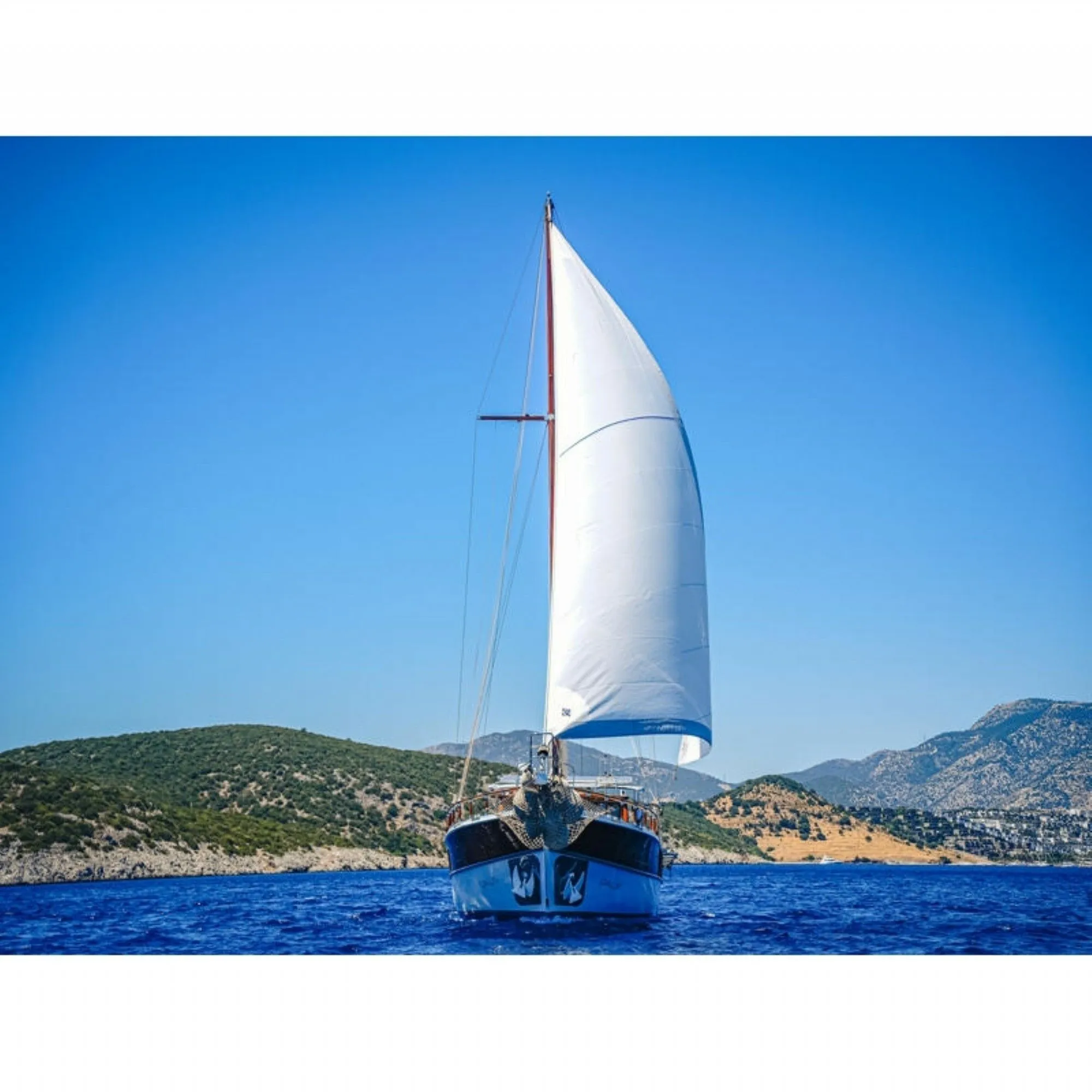 Oalis Charter Boat - 2