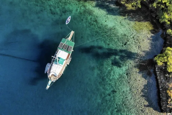 Чартер Ozbaris - 3