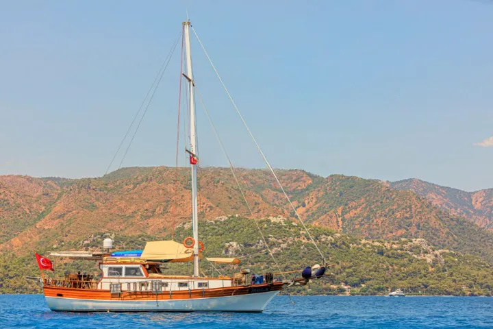 Чартер Mola - 3