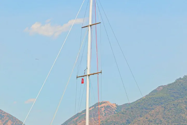 Чартер Mola - 4