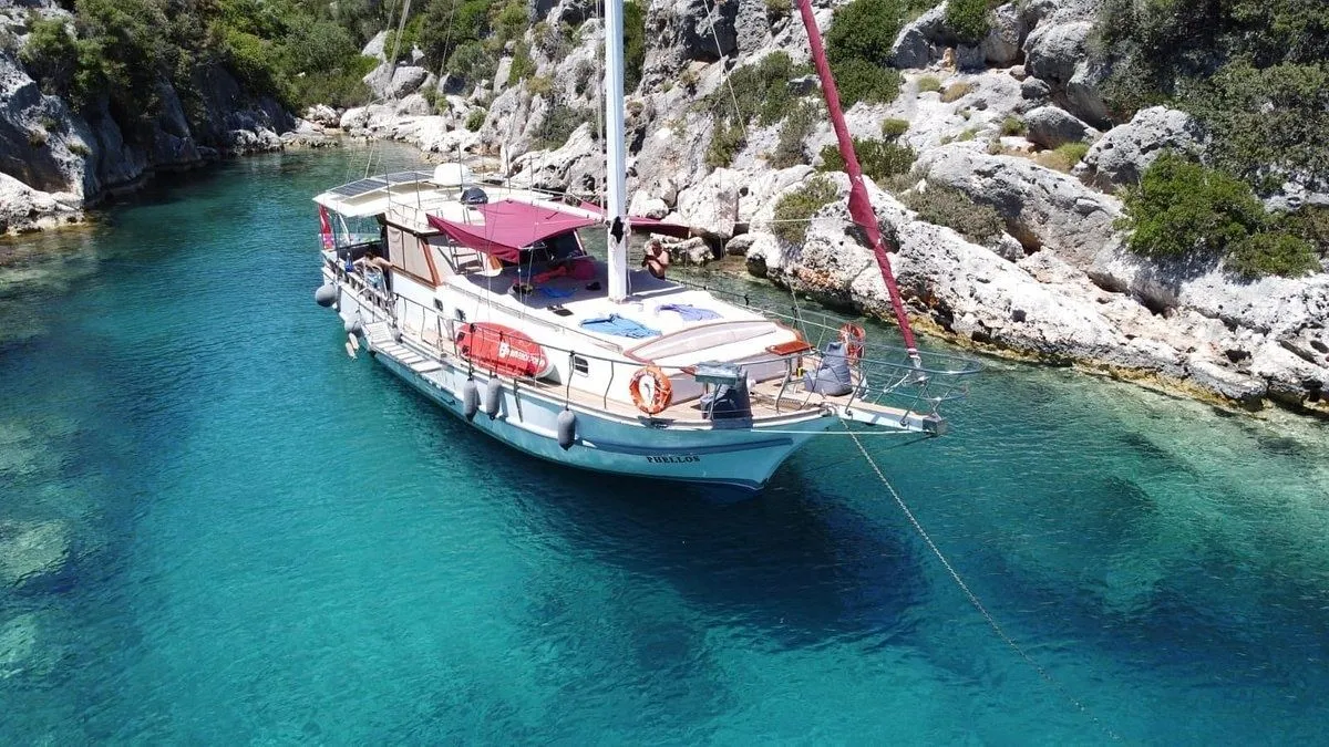 Чартер Phellos - 3