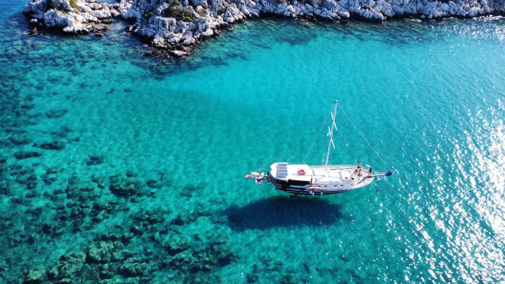 Чартер Albatross Q - 5