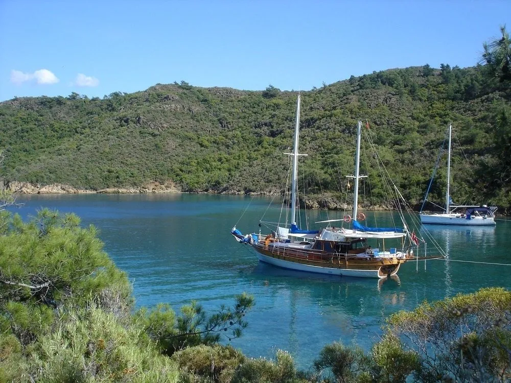 Cagselen Charter Boat - 4