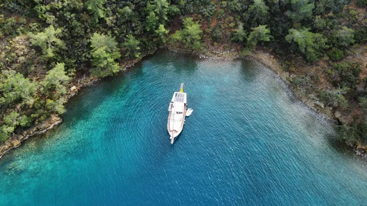 Turkuaz 24 Kiralık Teknesi - 3