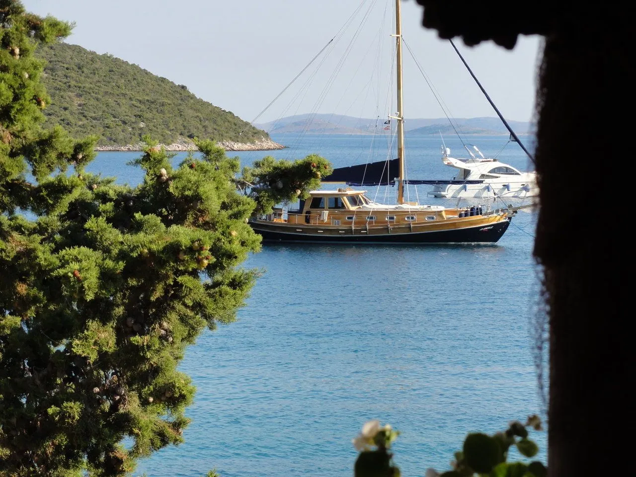 Larus Charter Boat