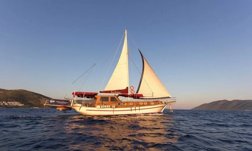 Чартер Sea Star 1 - 3