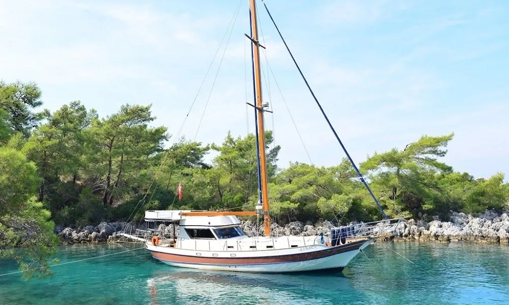 Чартер Kasikci - 3