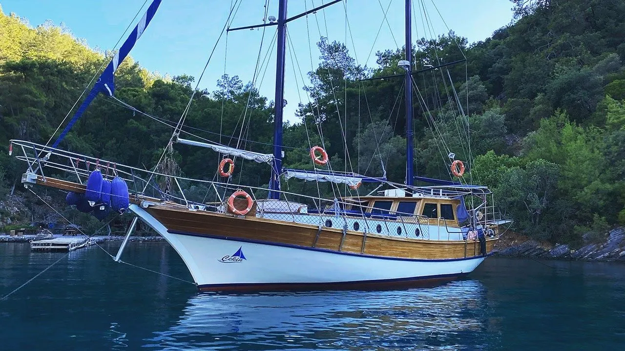 Чартер Cekin - 5