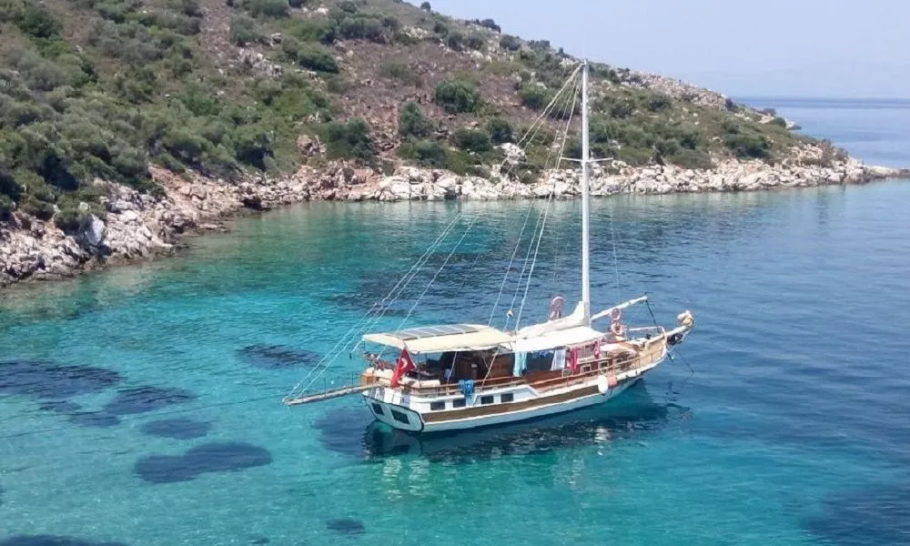 Temel Reis 3 Charter Boat - 2