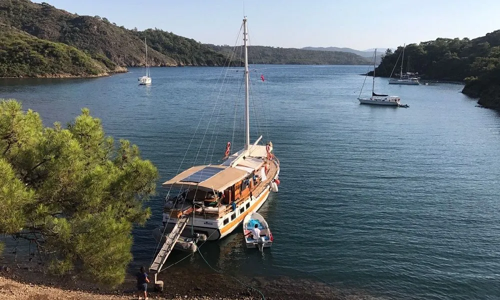 Temel Reis 3 Charter Boat - 3