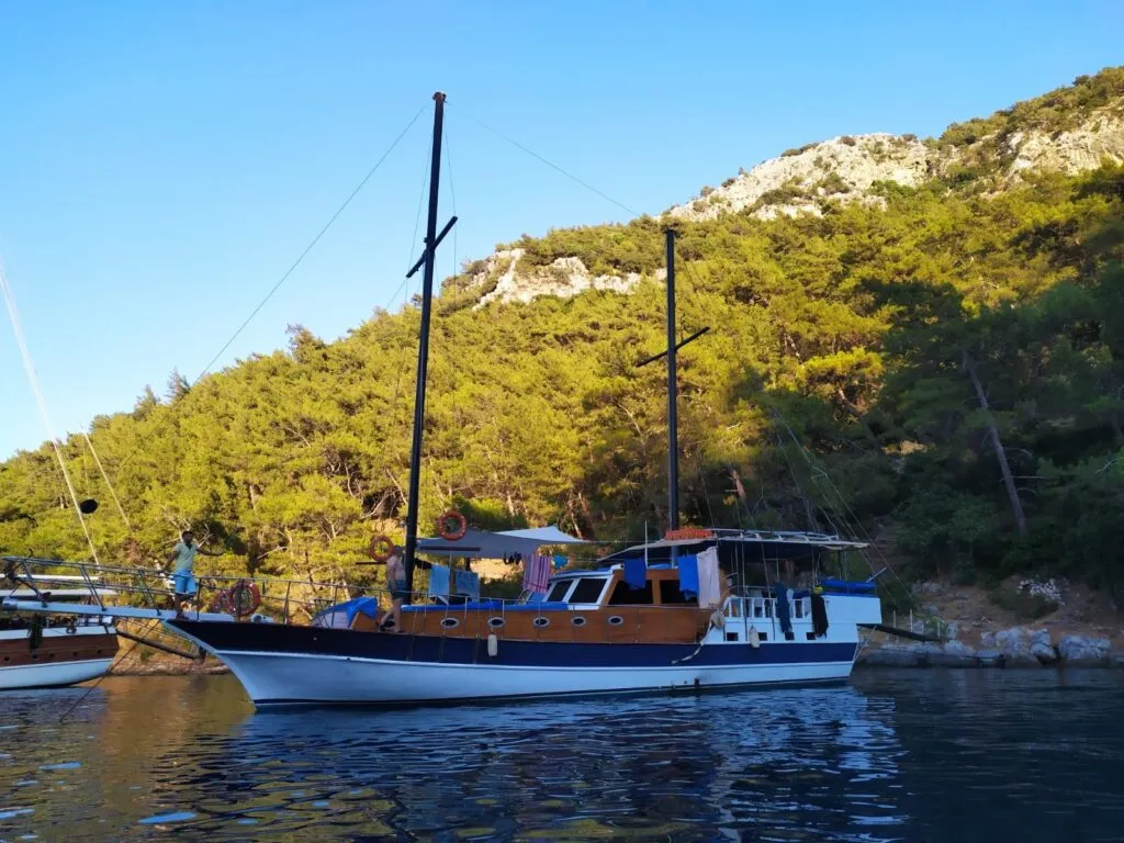 Чартер Rfc is life - 3