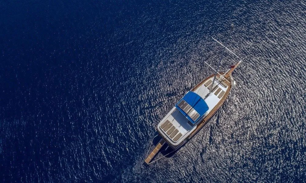 Чартер Safira - 4