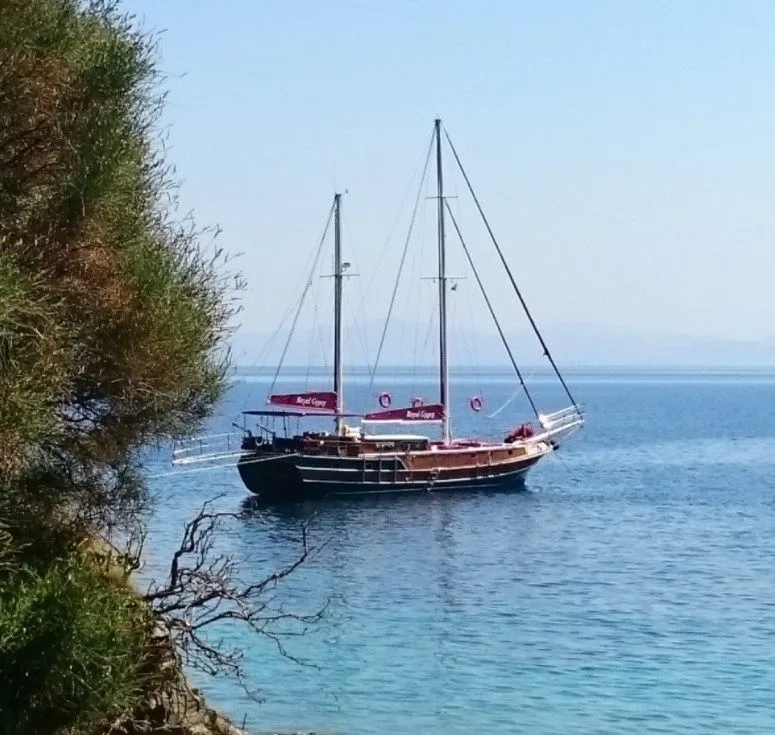 Чартер Royal Gypsy - 4