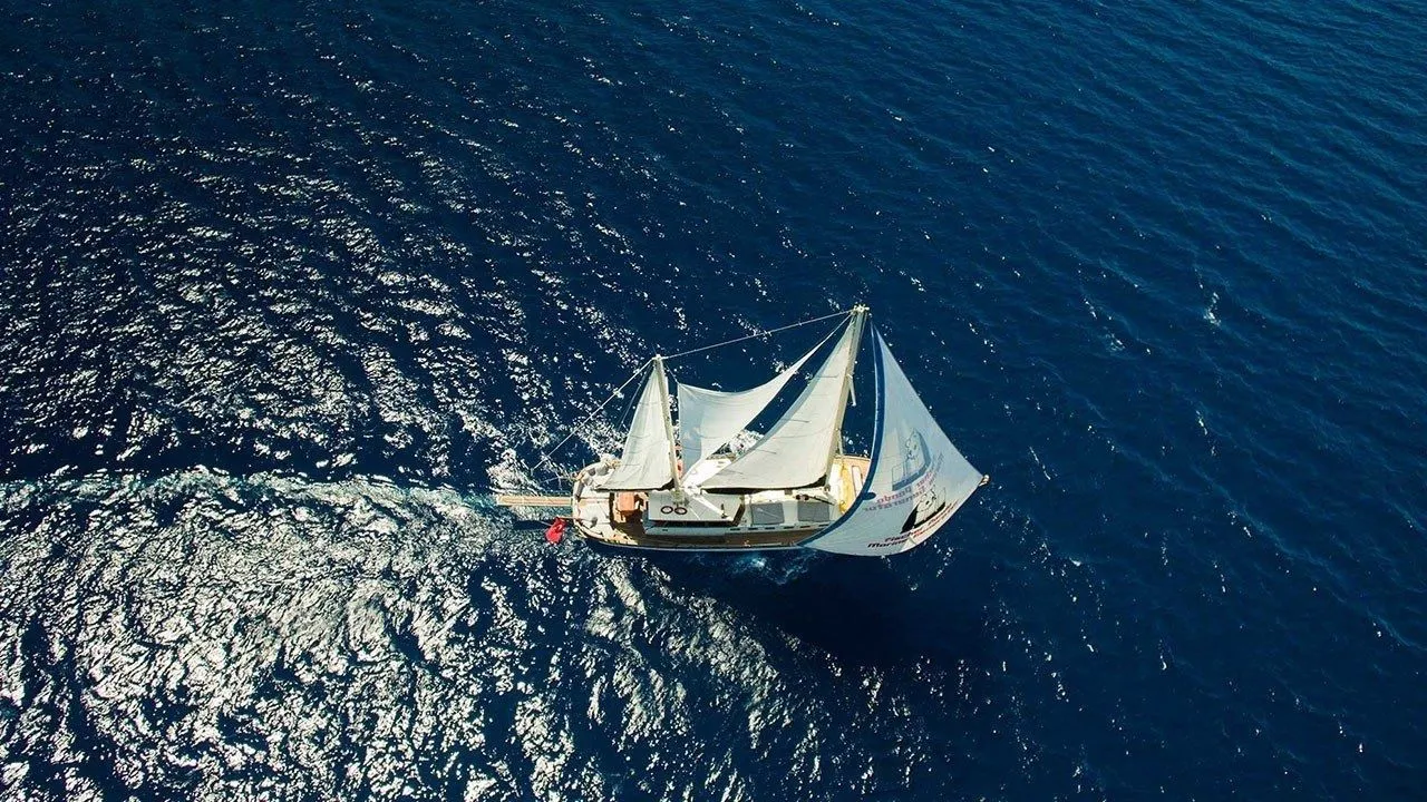 Чартер Mina - 5