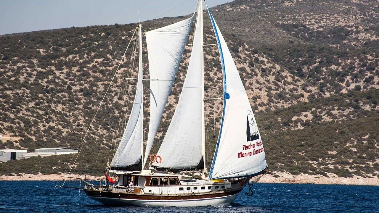 Чартер Mina - 3