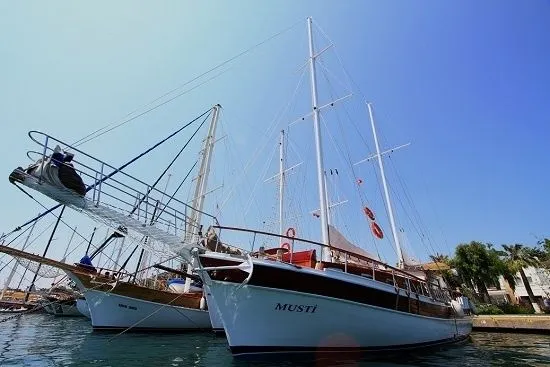 Чартер Musti - 3