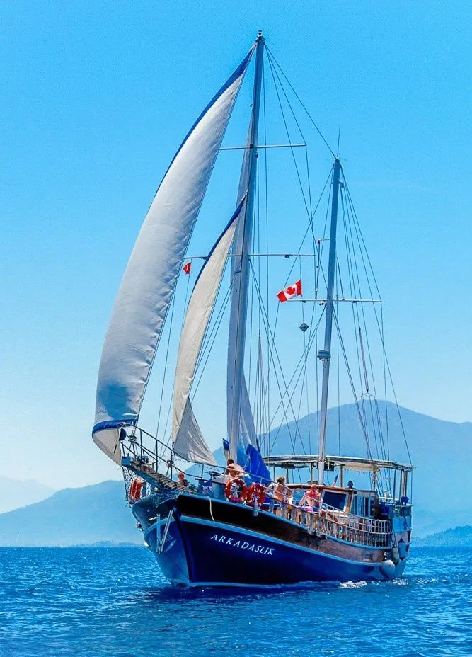 Чартер Arkadaslik - 3