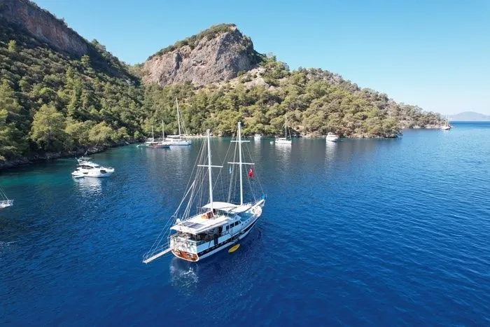 Чартер Avuncan - 4